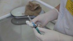 Полиция предупредила ракитянцев об ответственности за махинации с сертификатом о прививке