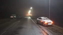 Лось погиб при столкновении с автомобилем в Краснояружском районе
