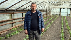 Краснояружец получил господдержку на развитие овощеводства по программе «Агростартап»