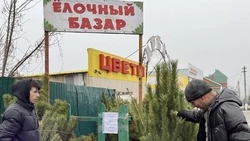 Жители Краснояружского округа открыли традиционный ёлочный базар