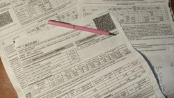 ЦЭБ начинает досудебную работу с задолженностями потребителей за услугу «обращение с ТКО»