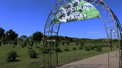 Дендропарк «Дружба» стал украшением посёлка Ракитное