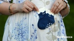 Вячеслав Гладков рассказал об увеличении регионального материнского капитала для многодетных семей