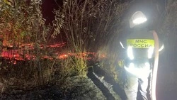 Спасатели ликвидировали возгорание в Ракитянском районе 