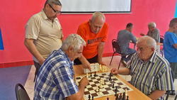 Межрайонный турнир по шахматам прошёл в посёлке Ракитное