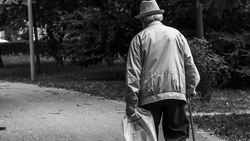 Ракитянские социальные службы запустили проект «Приёмная семья для пожилых людей»