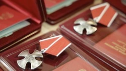 Вячеслав Гладков рассказал о награждении бойцов самообороны