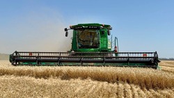 Ракитянские аграрии приступили к уборке ранних зерновых культур