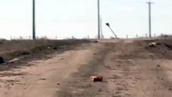 Губернатор Белгородской области опубликовал информацию о нанесённых ВСУ ударах 