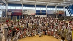 Ракитянский агрохолдинг «БЭЗРК-Белгранкорм» поздравил детей с Новым годом