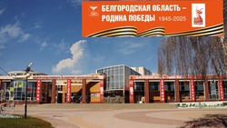 Ракитянцы поддержали всероссийскую патриотическую акцию «Окна Победы»  