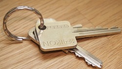Вячеслав Гладков предложил дать возможность жильцам сделать дубликаты ключей от подвалов 