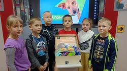 Активисты краснояружского «Движения Первых» открыли традиционный сбор помощи для бездомных животных