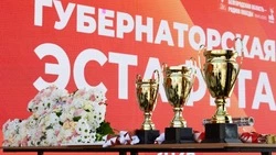 Вячеслав Гладков рассказал о легкоатлетическом забеге «Губернаторская эстафета»