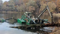 Специалисты продолжат очищать пруды в Ракитянском районе