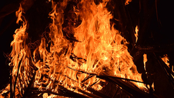 МЧС зарегистрировало 99 ландшафтных пожаров в Белгородской области за неделю