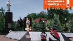 Белгородцы получили возможность принять участие в конкурсе видеороликов «Наследие Победы»
