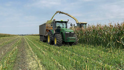 Аграрии Ракитянского района приступили к уборке кукурузы