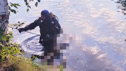 МЧС Белгородской области опубликовало сводку происшествий в регионе