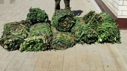 Ракитянцы продолжат реализацию проекта «Сети ангелов»