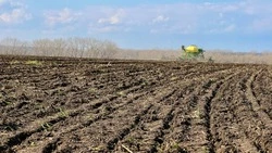 Ракитянские аграрии доложили об окончании сева озимых культур 