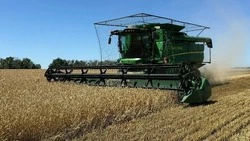 Ракитянские аграрии приступили к уборке ранних зерновых и зернобобовых культур  