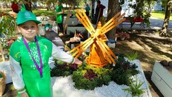 Краснояружская школьница отличилась в конкурсе ландшафтного дизайна и садоводства «Планета цветов»