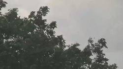 Материал
