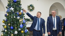 Краснояружцы приняли участие в благотворительной акции «Елка желаний» 
