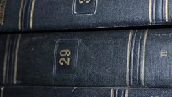 Постановление главы Краснояружского муниципального округа №4 от 1 апреля 2026 года