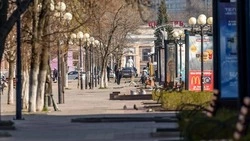 Платформа обратной связи поможет белгородцам в решении проблем