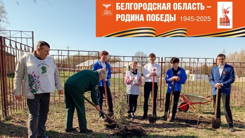 Ракитянцы приняли участие в международной акции «Сад памяти»