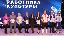 Краснояружские культработники отметили профессиональный праздник