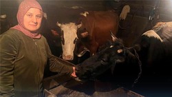 Жительница Ракитянского района дважды стала участницей программы «Содействие»