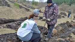 Краснояружцы заложили новый зелёный массив в рамках международной акции «Сад памяти»