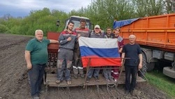 Ракитянские студенты окончили посевную компанию