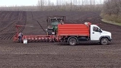 Аграрии Ракитянского округа приступили к севу технических культур