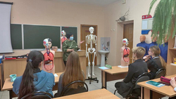 Медицинский класс открылся в одной из школ Ракитянского района