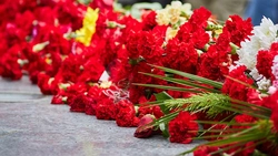 Я никогда ваш подвиг не забуду! Ракитянка рассказала о своих воевавших предках