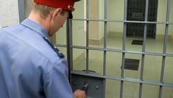 Белгородская полиция заявила о сокращении преступности среди иностранных граждан