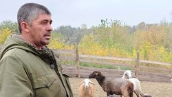 Ракитянская многодетная семья благодаря соцконтракту получает стабильный доход