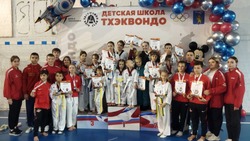 Ракитянцы отличились на фестивале тхэквондо