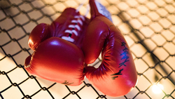 Ракитянские боксёры стали призёрами открытого городского первенства