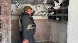 Добровольцы продолжат ухаживать за домашними животными в Краснояружском районе