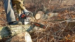 Краснояружцы продолжат заготовку топлива на случай ЧС в зимний период