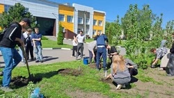 Ракитянские студенты поддержали всероссийскую акцию «Сад – связь поколений»
