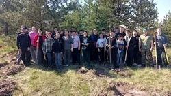 Жители Ракитянского округа поддержали акцию «Сад Памяти»