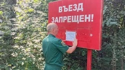 Специалисты Ракитянского лесничества продолжат патрулировать территорию госфонда