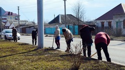 Жители Ракитянского района приступили к уборке территорий