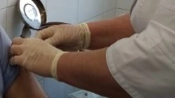 Готовимся к школе: какие прививки стоит сделать ребёнку перед школой